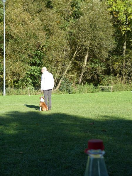 Obi-Prüfung Oktober 2017