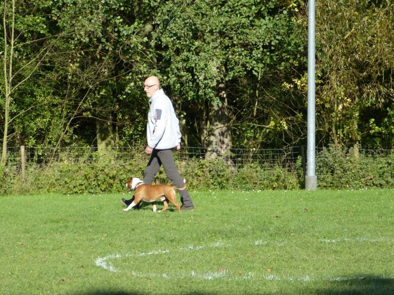 Obi-Prüfung Oktober 2017