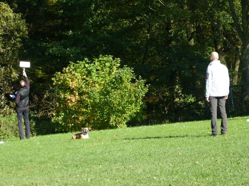 Obi-Prüfung Oktober 2017