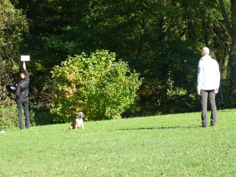 Obi-Prüfung Oktober 2017