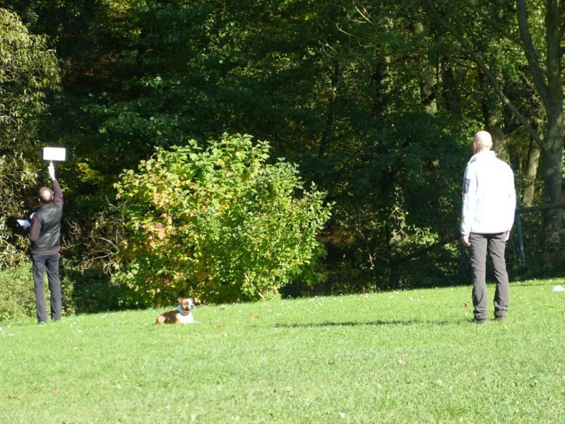 Obi-Prüfung Oktober 2017