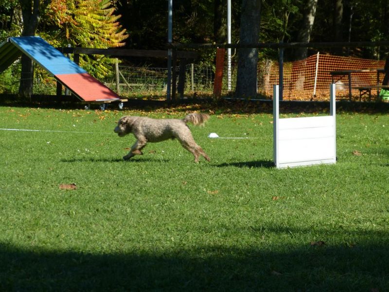 Obi-Prüfung Oktober 2017