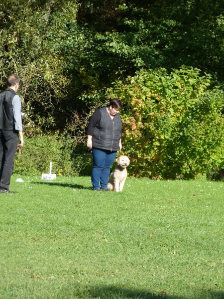 Obi-Prüfung Oktober 2017
