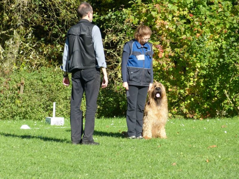 Obi-Prüfung Oktober 2017