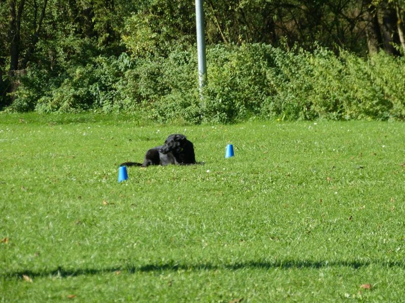 Obi-Prüfung Oktober 2017