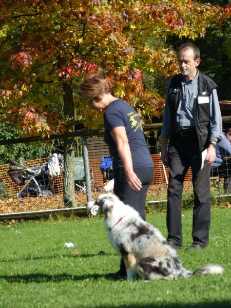 Obi-Prüfung Oktober 2017