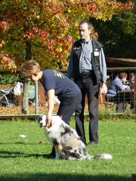 Obi-Prüfung Oktober 2017