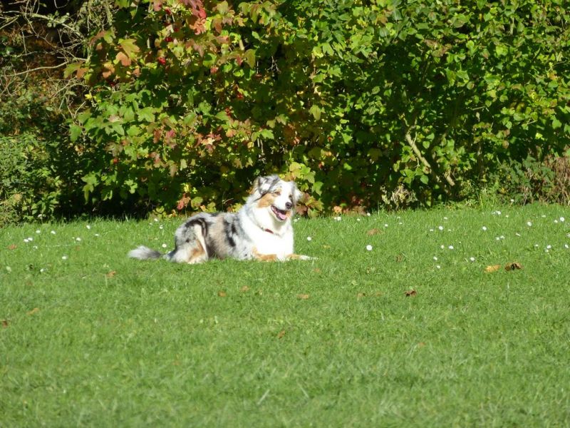 Obi-Prüfung Oktober 2017