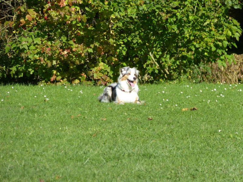 Obi-Prüfung Oktober 2017