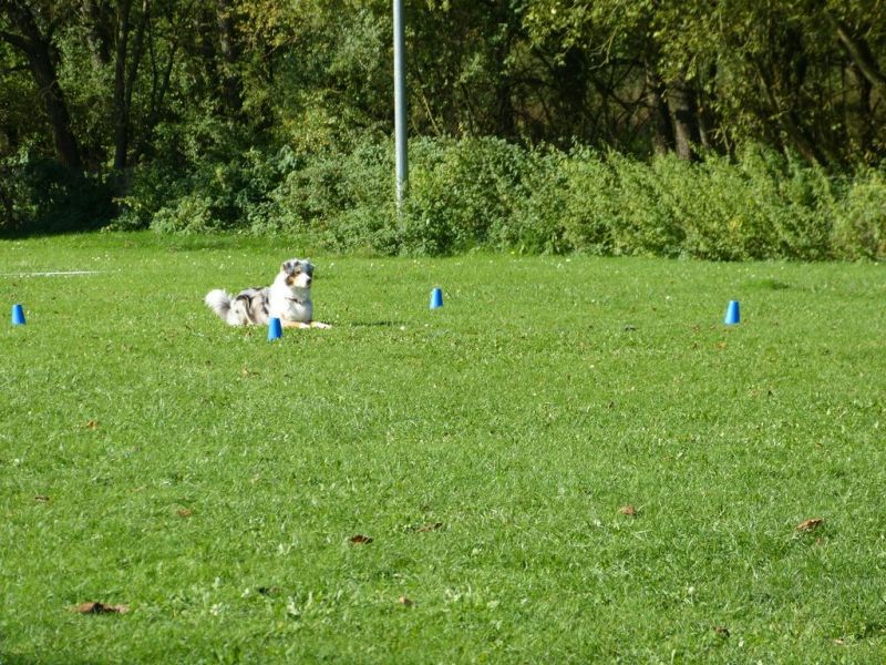 Obi-Prüfung Oktober 2017