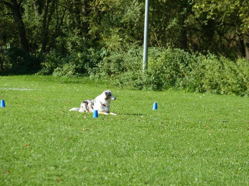 Obi-Prüfung Oktober 2017