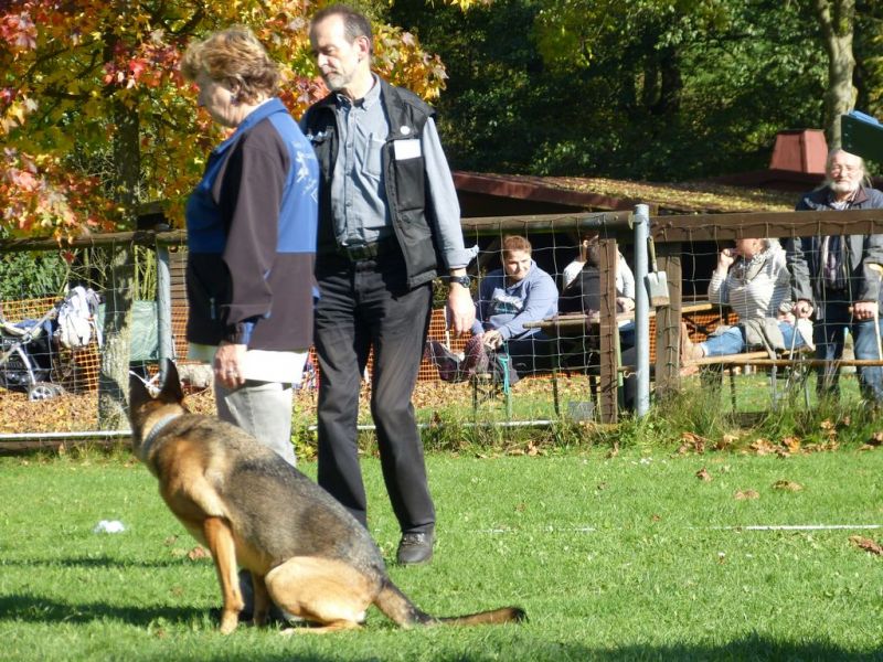 Obi-Prüfung Oktober 2017