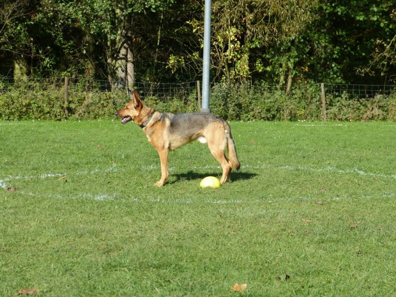 Obi-Prüfung Oktober 2017