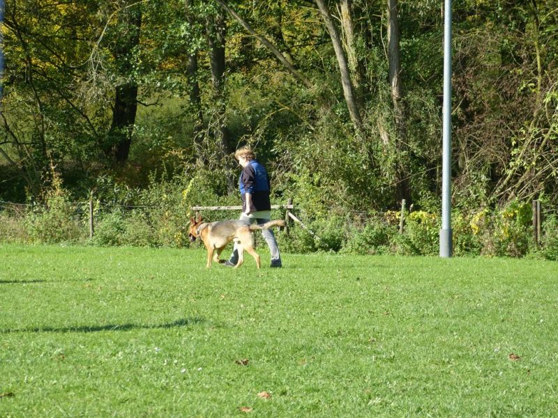 Obi-Prüfung Oktober 2017