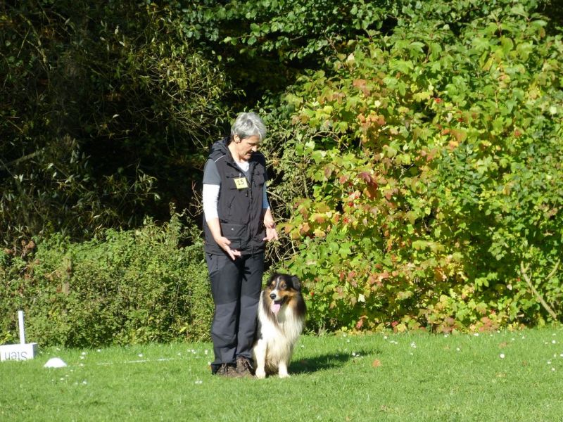 Obi-Prüfung Oktober 2017