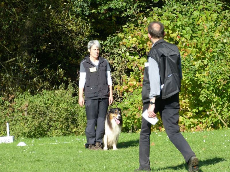 Obi-Prüfung Oktober 2017
