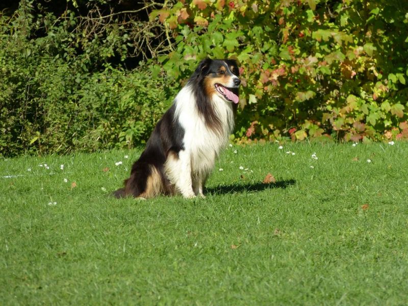 Obi-Prüfung Oktober 2017