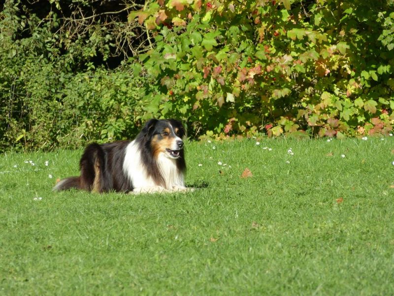 Obi-Prüfung Oktober 2017