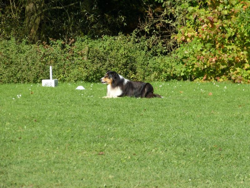 Obi-Prüfung Oktober 2017