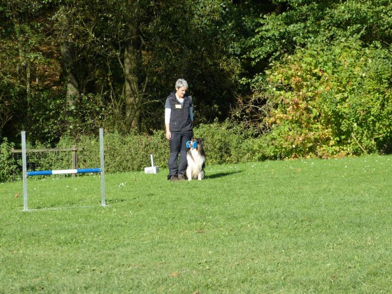 Obi-Prüfung Oktober 2017