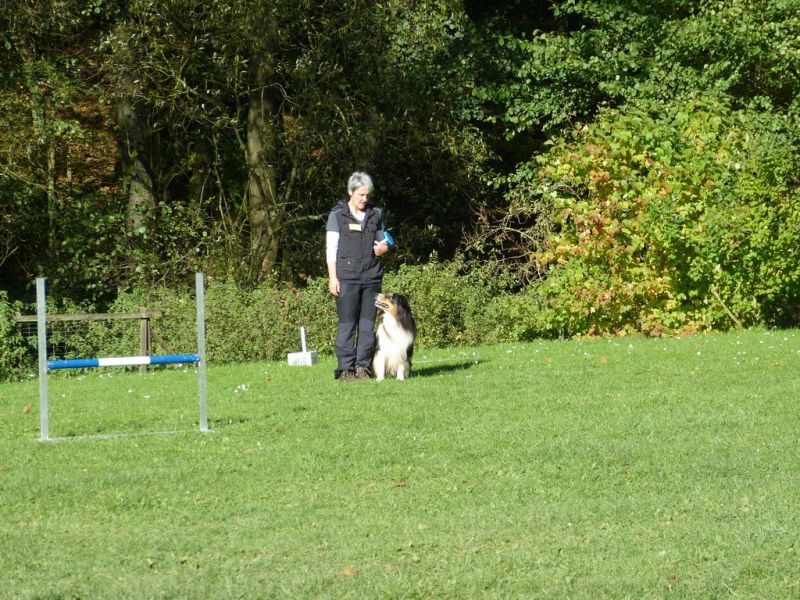 Obi-Prüfung Oktober 2017