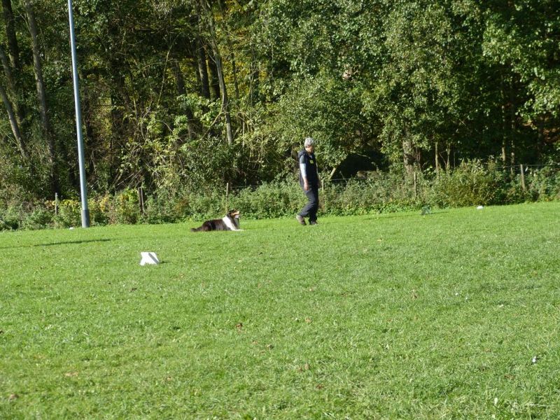 Obi-Prüfung Oktober 2017