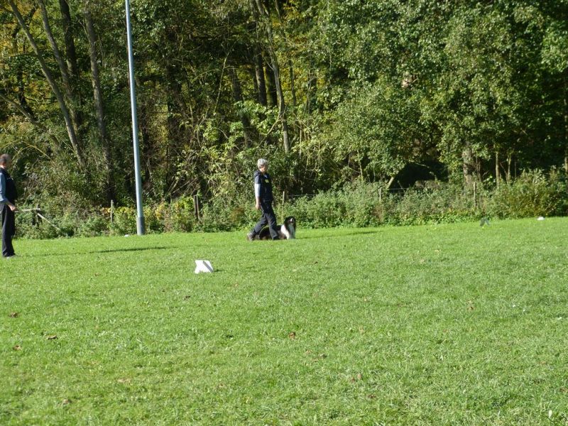 Obi-Prüfung Oktober 2017