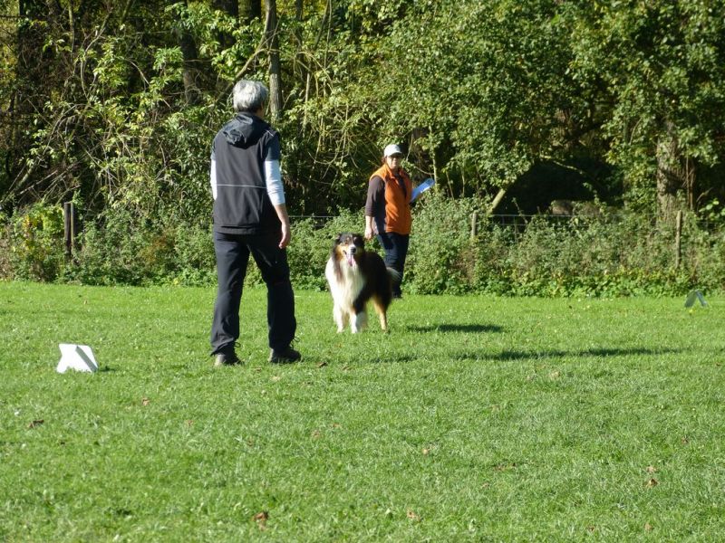 Obi-Prüfung Oktober 2017