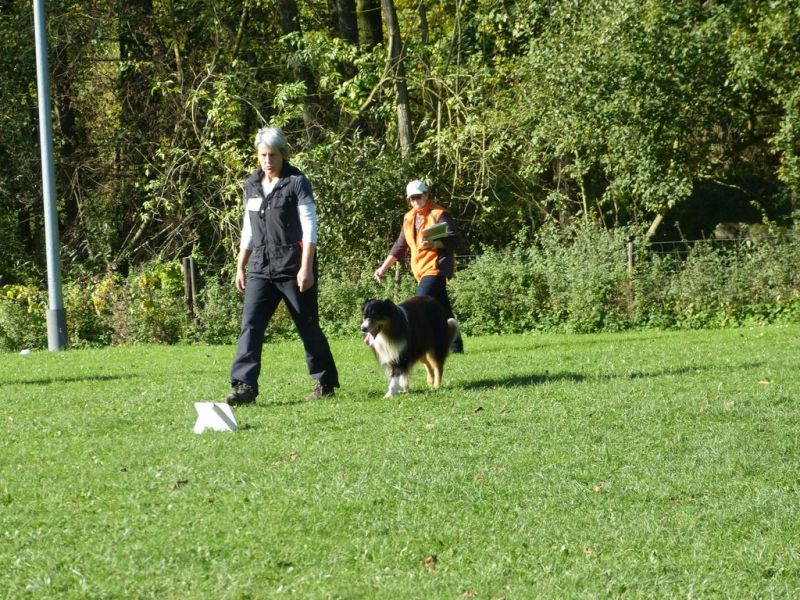 Obi-Prüfung Oktober 2017