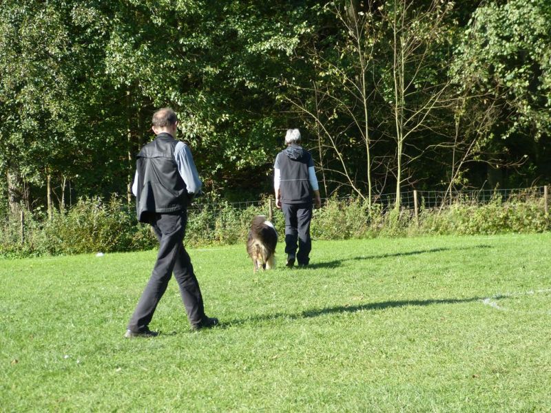 Obi-Prüfung Oktober 2017
