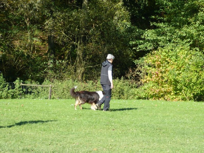 Obi-Prüfung Oktober 2017