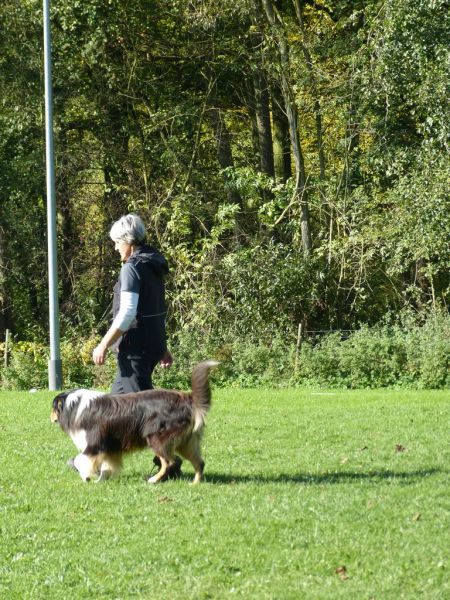 Obi-Prüfung Oktober 2017