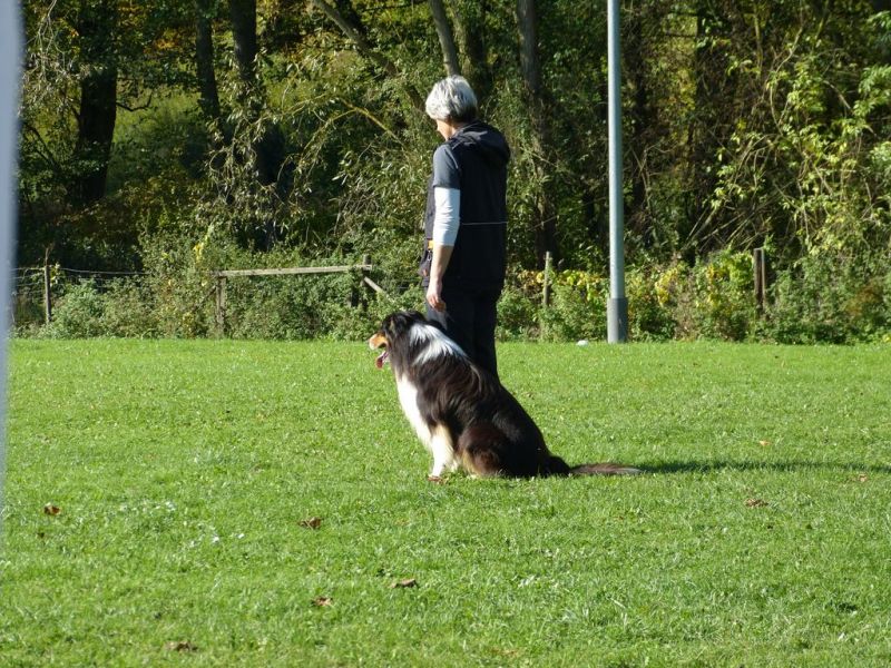 Obi-Prüfung Oktober 2017
