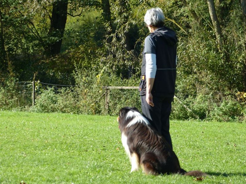 Obi-Prüfung Oktober 2017