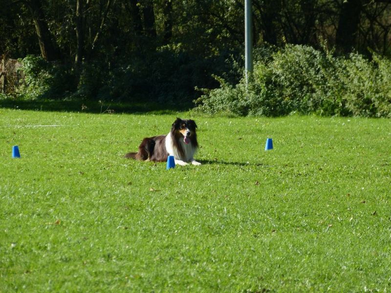 Obi-Prüfung Oktober 2017