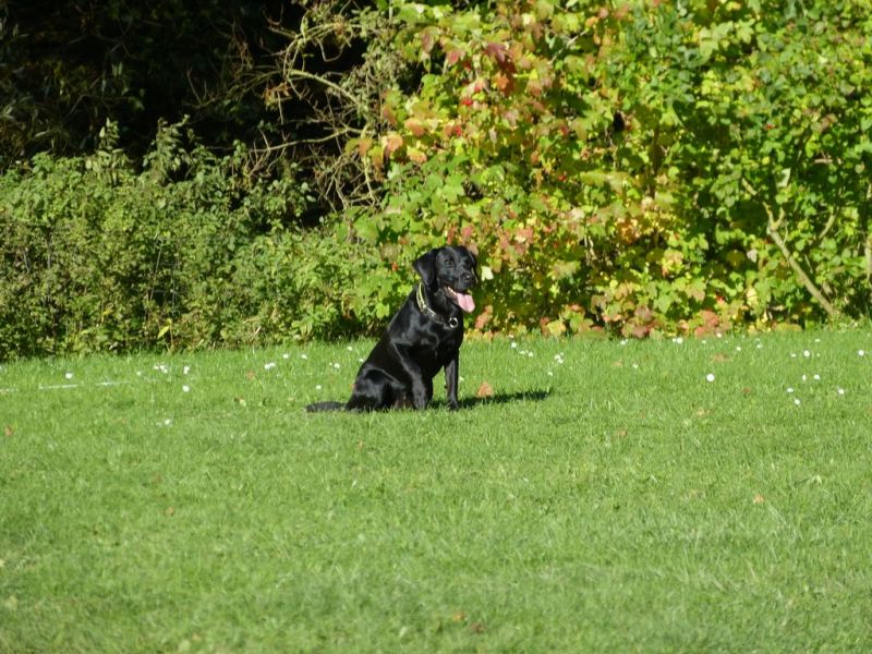Obi-Prüfung Oktober 2017