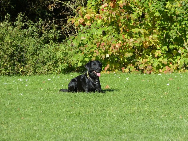 Obi-Prüfung Oktober 2017