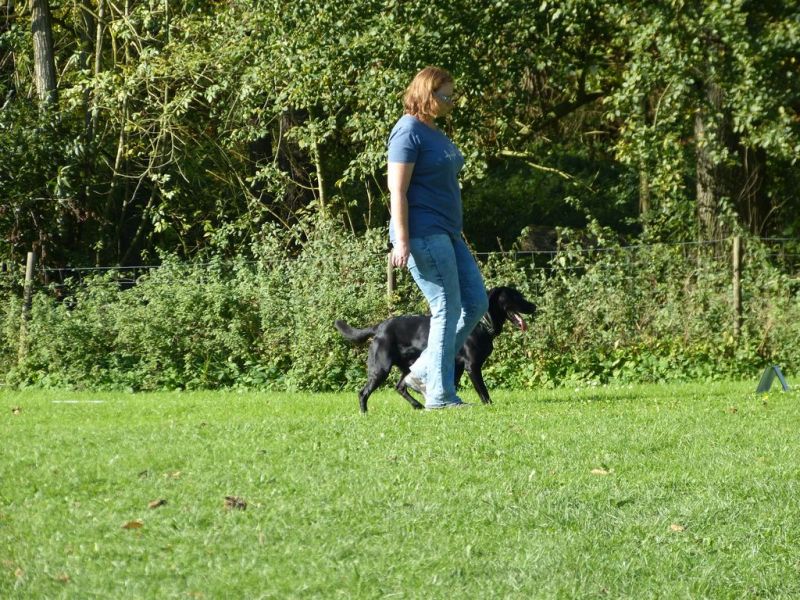 Obi-Prüfung Oktober 2017
