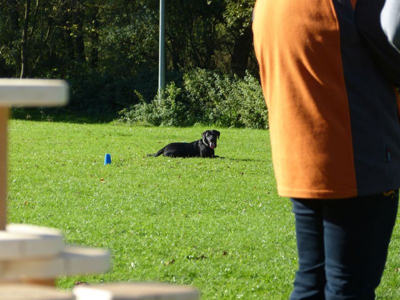 Obi-Prüfung Oktober 2017