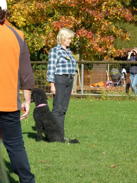 Obi-Prüfung Oktober 2017
