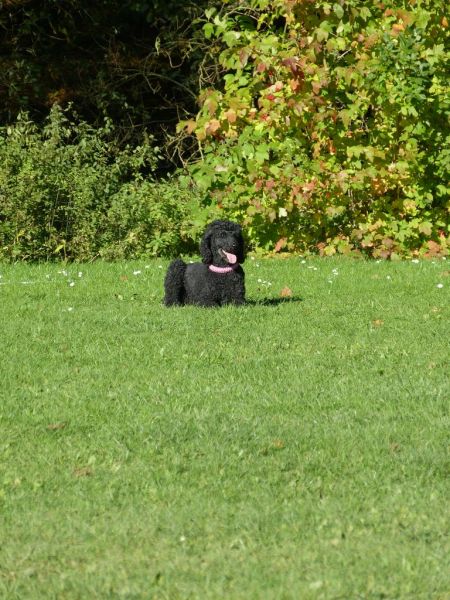 Obi-Prüfung Oktober 2017