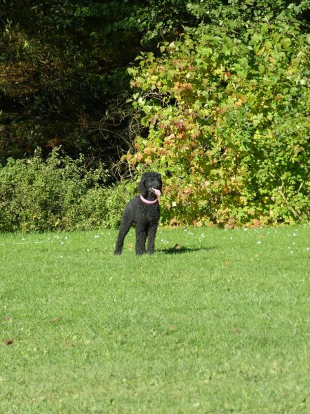 Obi-Prüfung Oktober 2017