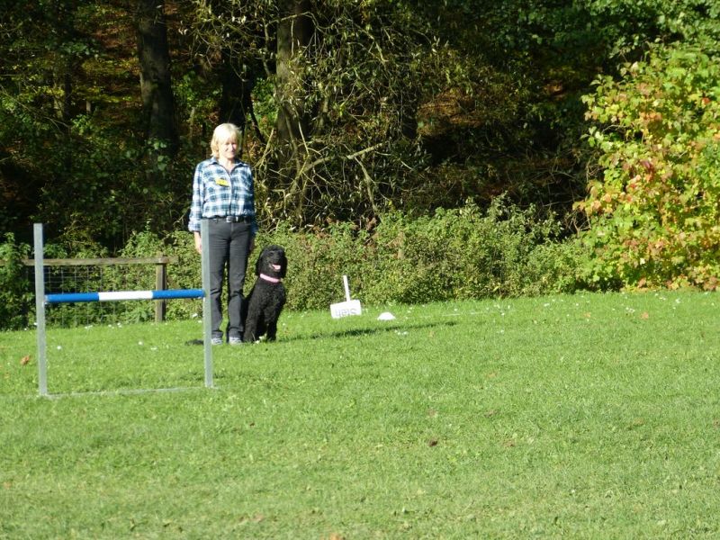 Obi-Prüfung Oktober 2017