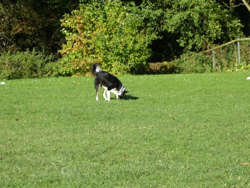 Obi-Prüfung Oktober 2017