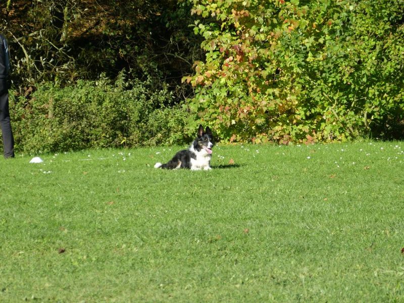 Obi-Prüfung Oktober 2017