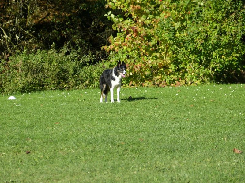 Obi-Prüfung Oktober 2017