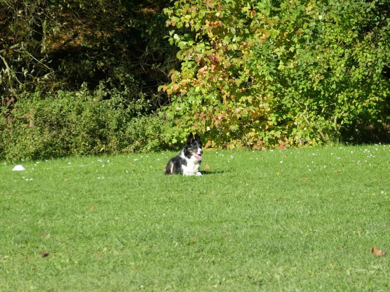 Obi-Prüfung Oktober 2017