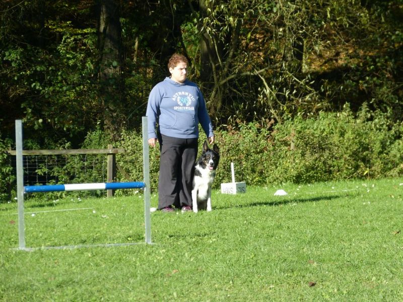 Obi-Prüfung Oktober 2017