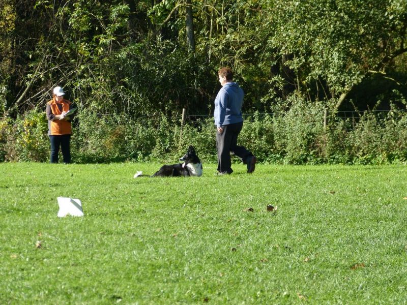 Obi-Prüfung Oktober 2017