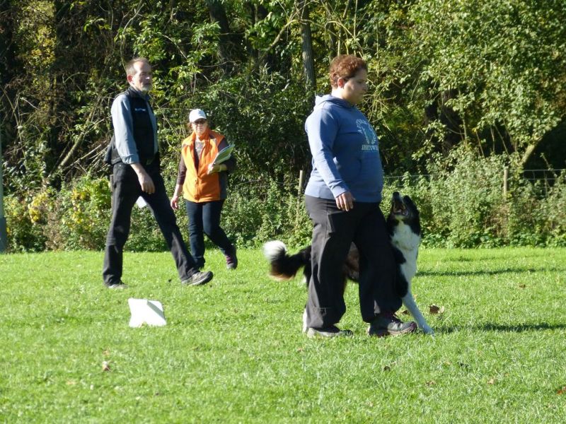 Obi-Prüfung Oktober 2017